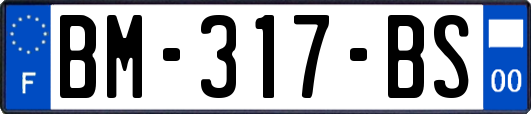 BM-317-BS