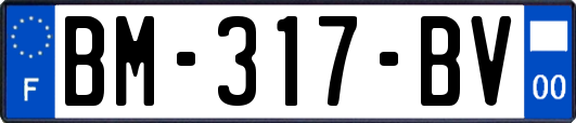 BM-317-BV