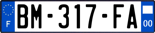 BM-317-FA