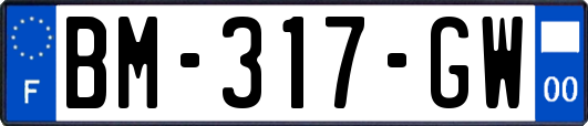 BM-317-GW