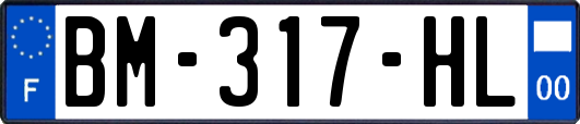 BM-317-HL