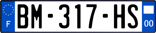 BM-317-HS