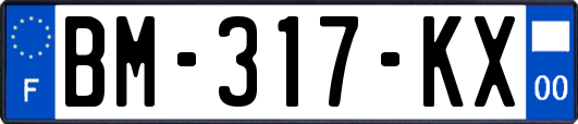 BM-317-KX