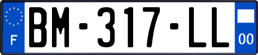 BM-317-LL