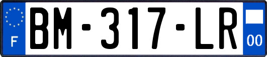 BM-317-LR
