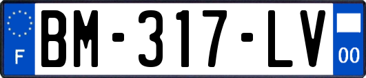 BM-317-LV