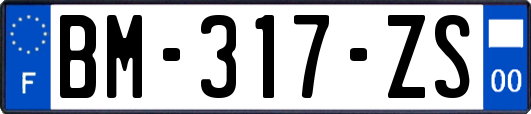 BM-317-ZS