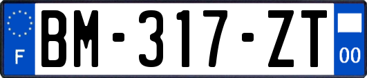 BM-317-ZT