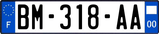 BM-318-AA