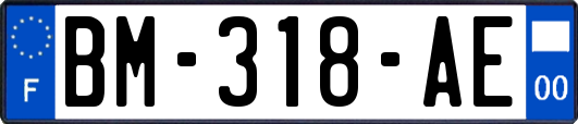 BM-318-AE