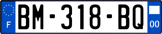 BM-318-BQ