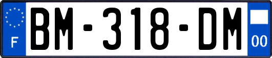 BM-318-DM