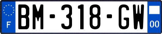 BM-318-GW