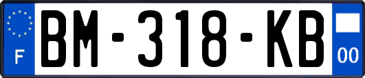BM-318-KB