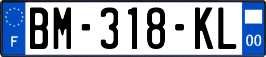 BM-318-KL