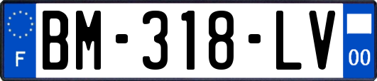 BM-318-LV