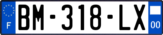 BM-318-LX