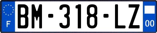 BM-318-LZ