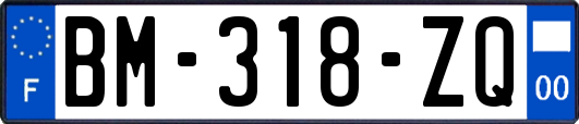 BM-318-ZQ