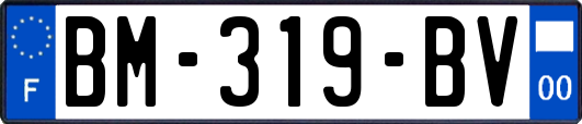 BM-319-BV