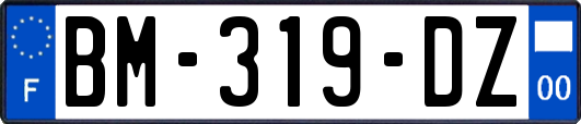 BM-319-DZ