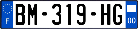 BM-319-HG