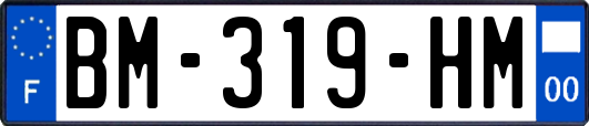 BM-319-HM
