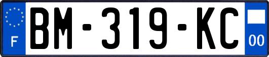 BM-319-KC