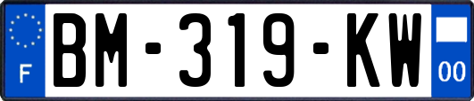 BM-319-KW