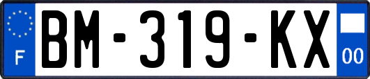BM-319-KX