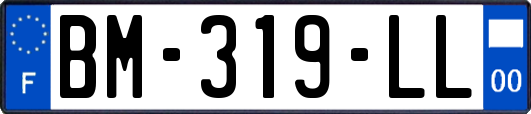 BM-319-LL