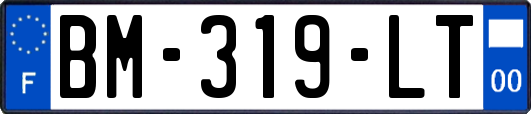 BM-319-LT