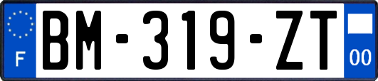 BM-319-ZT