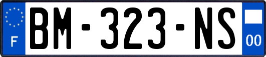 BM-323-NS