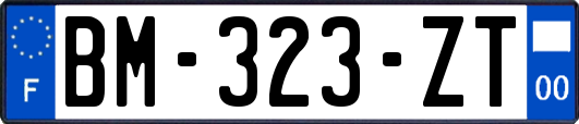 BM-323-ZT