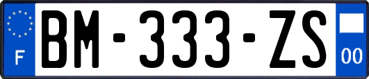 BM-333-ZS