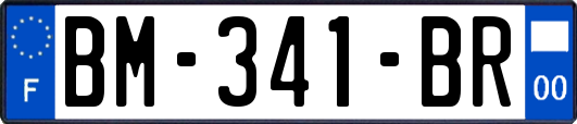 BM-341-BR