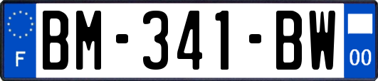 BM-341-BW