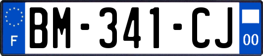 BM-341-CJ