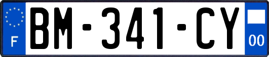 BM-341-CY