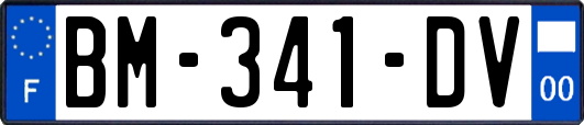 BM-341-DV