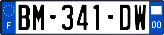 BM-341-DW