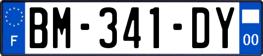 BM-341-DY