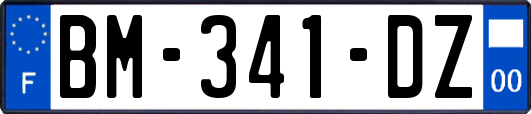 BM-341-DZ