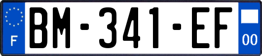 BM-341-EF