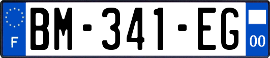 BM-341-EG