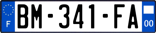 BM-341-FA