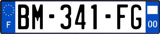 BM-341-FG