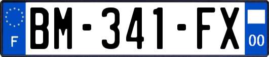 BM-341-FX