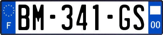 BM-341-GS